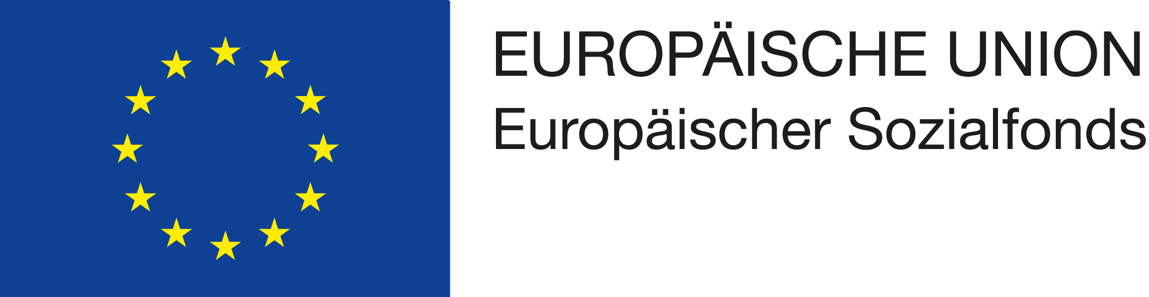 EU Logomit EU und ESF Schriftzg rechts oben neben der Fahne.3880171