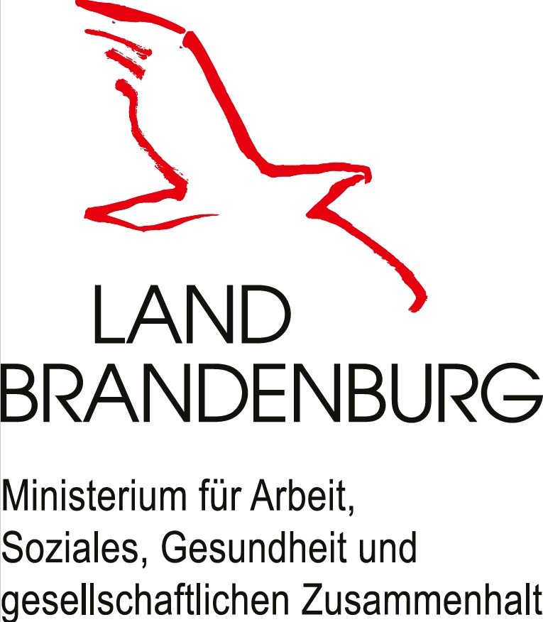 Logo LASV